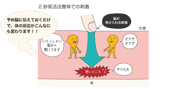 2.妙見活法整体の図。あらかじめ脳に伝えておくだけで、脳が受け入れられる刺激になり、体の反応が変わります!